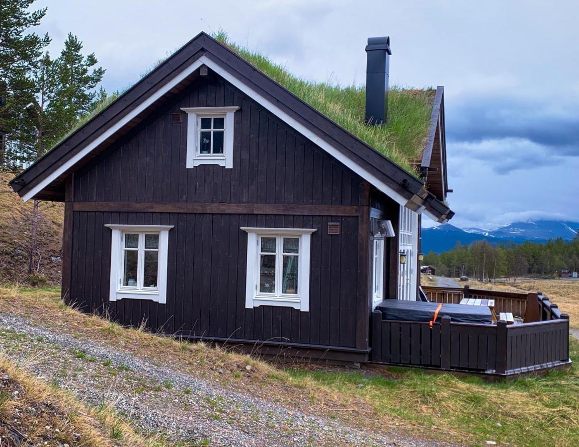 Lemonsjoen-jotunheimen-besseggen * Stuttgongfossen
