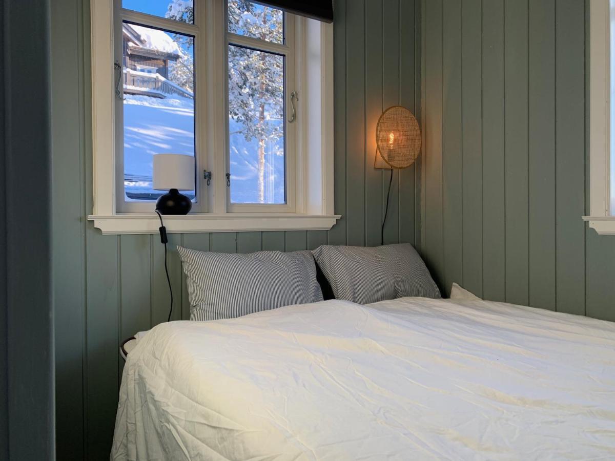 Lemonsjoen-jotunheimen-besseggen Stuttgongfossen
