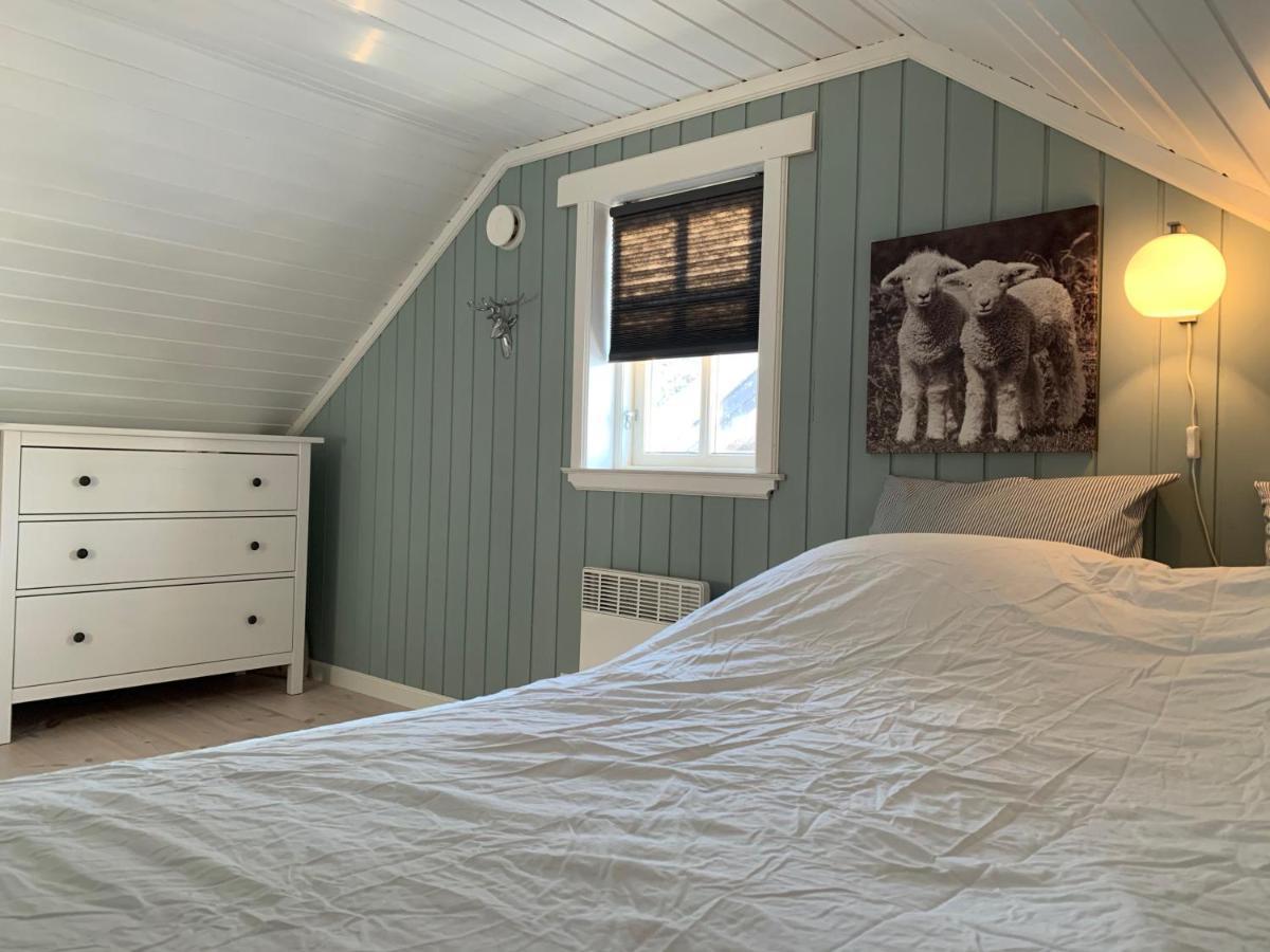 Semesterbostad Lemonsjoen-jotunheimen-besseggen