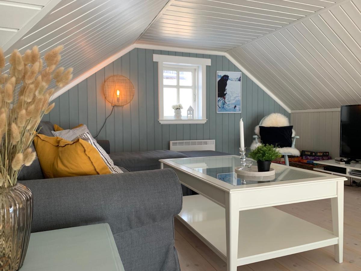 Semesterbostad Lemonsjoen-jotunheimen-besseggen