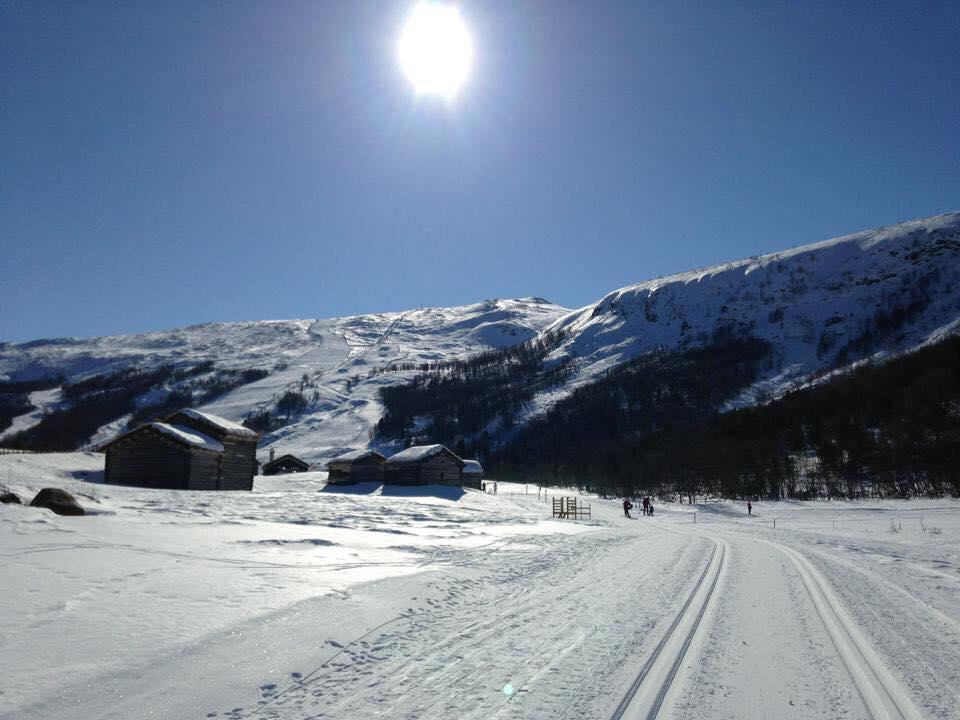 Lemonsjoen-jotunheimen-besseggen Semesterbostad *