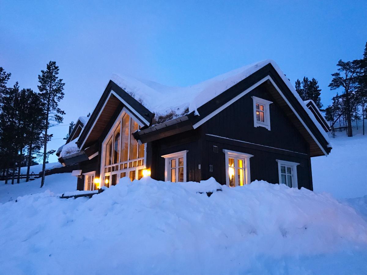 Semesterbostad Lemonsjoen-jotunheimen-besseggen *